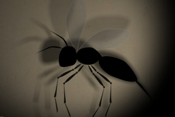 Lutte biologique