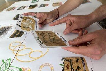 images des cartes pour l'atelier des sols vivants