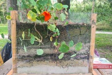 Exemple d'un souterrarium