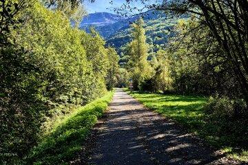 voie verte d'Allemond, route en goudron et bordée de végétation