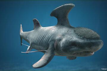 Stethacanthus