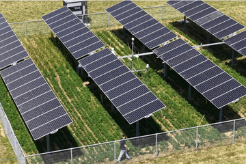 Cultures et panneaux solaires : un duo gagnant ?  