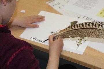 Atelier herbier