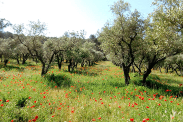 Visites de fermes