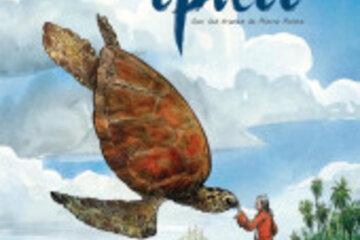 Dessin d'une tortue saluant Pierre Poivre sur une plage