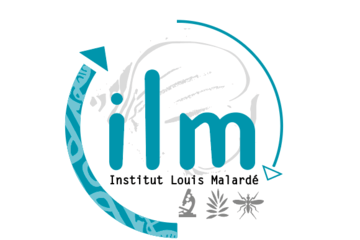 Logo ILM