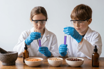Protein hunter : Les légumineuses contiennent-elles vraiment des protéines ?