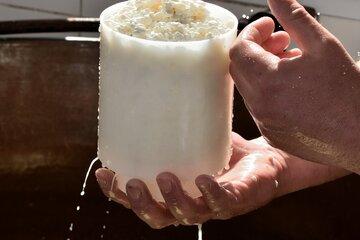 Moulage de fromage frais