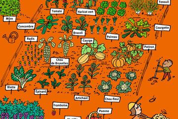 Les Super-Héros de l'assiette