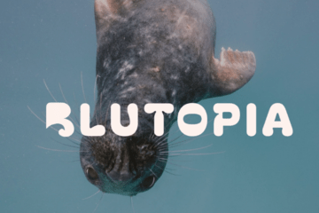 Phoque et logo Blutopia