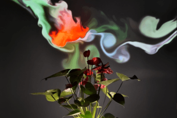 Plant Being