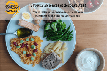 Saveurs sciences et découvertes - Science Ouverte