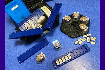 bluebot