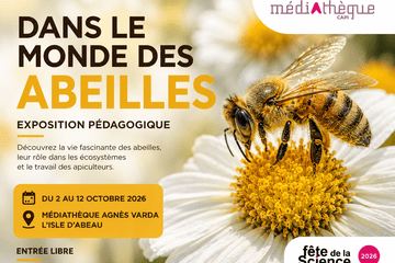 Affiche "Dans le monde des abeilles"