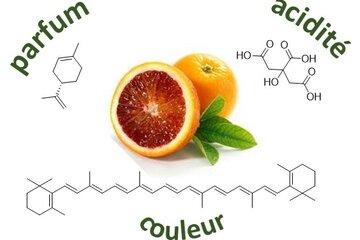 Limonène, acide citrique, carotène