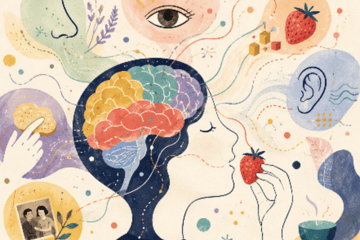 Le cerveau construit les saveurs 