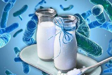 Passons à table avec les microbes !