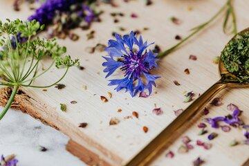 Plantes et fleurs comestibles
