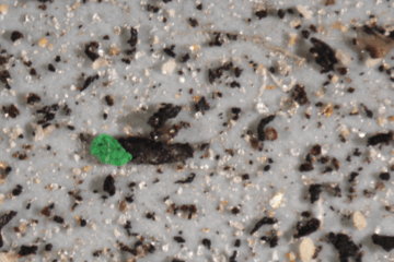 Particules de microplastiques retrouvées dans l'environnement