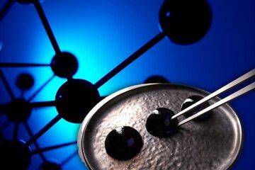 Physique et chimie des saveurs