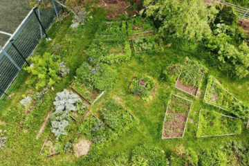 Jardins à croquer