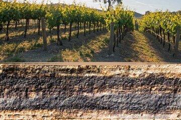 Quand la roche façonne le vin