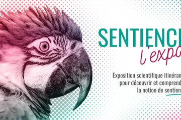 Sentience l'expo