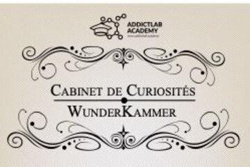 Cabinets de curiosités