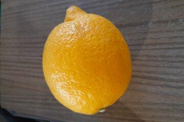 citron