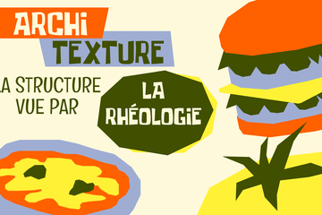 Rhéologie : la science pour sonder la texture de l'aliment 