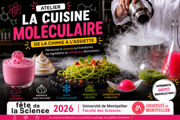 Affiche de la Fête de la Science 2026 présentant un atelier de cuisine moléculaire avec un chef versant un liquide vapeur dans un récipient, entouré de plats expérimentaux colorés (spaghettis verts, mousse rose, meringue, sphérifications) et d’éléments évoquant la chimie.