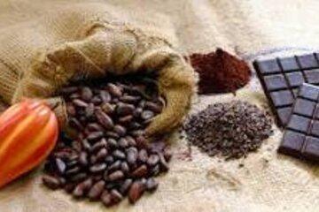 Cabosse et fèves de chocolat, cacao, tablette de chocolat