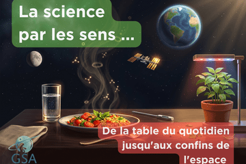 La science par les sens ...