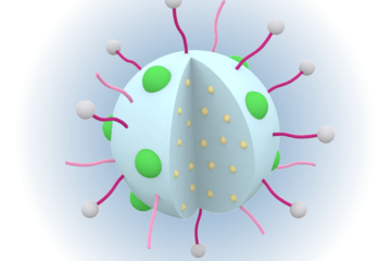 Nanoparticules pour la santé
