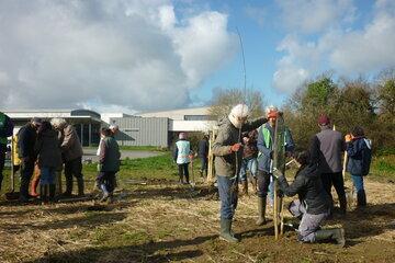 Plantation d'un verger