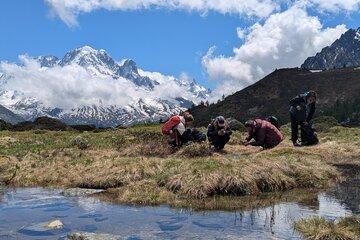 Sciences sur le terrain