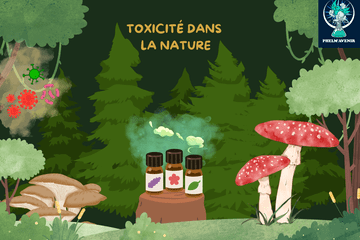bon à savoir - toxicité - primaire