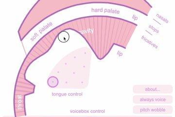 Vue de la synthèse vocale Pink Trombone