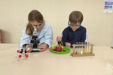 Expériences alimentation