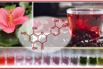 Fleur d'hibiscus rose, infusion rouge et série de tubes à essai allant du rouge au vert, illustrant le changement de couleur de l'hibiscus selon l'acidité.