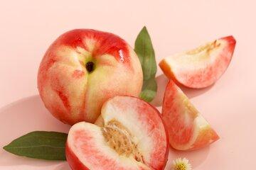 Pêche