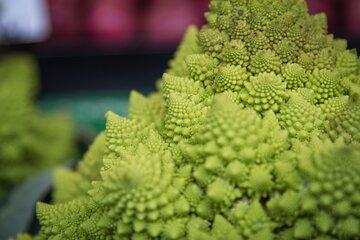 Chou romanesco 
