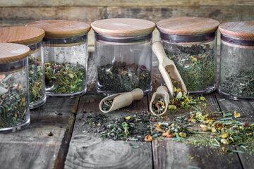 Plantes médicinales