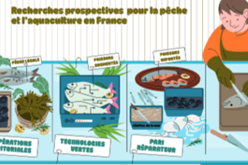 Six scénarios d'approvisionnement hexagonal en produits de la pêche et de l'aquaculture en 2050 dans un contexte de neutralité carbone