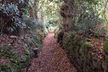 Au fil des chemins creux