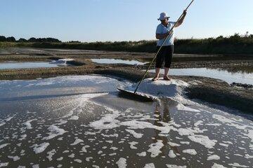 Photo Les Marais Salants de Saint-Armel