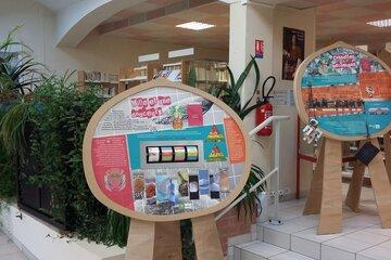 Exposition betterave