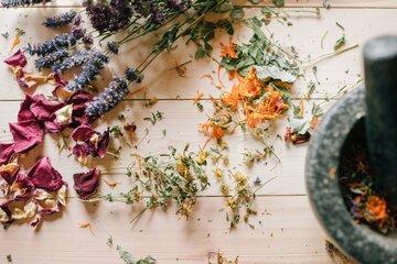 Plantes aromatiques