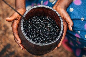 Açai dans un récipient