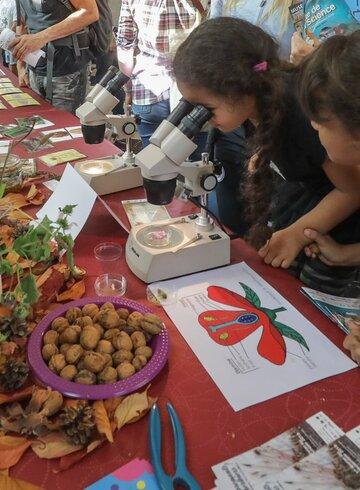 Animation du Musée d'histoire naturelle et d'ethnographie de Colmar Stand de la Fête de la science à Colmar